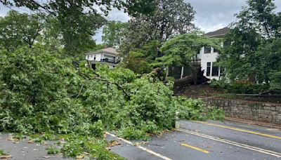 Strong storms down large trees, snap power poles near Atlanta’s Grant Park