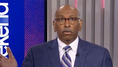 'What the hell are these people thinking?': Michael Steele rips Dems' plans for Biden