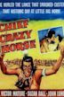 Chief Crazy Horse (film)