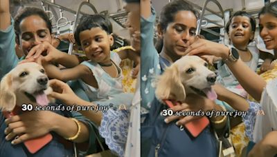 Pet dog travels on Mumbai local. Viral video captures the pawsitive reactions of fellow passengers