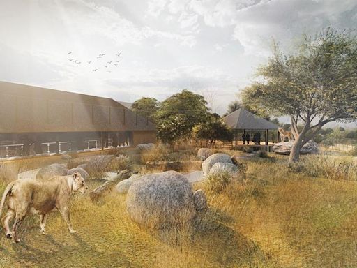 Zoo unveils plans for new African lion habitat
