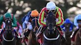 Beechwood produces career best to earn black type at Galway