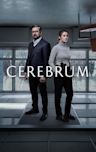 Cerebrum