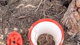 20 Rattlesnakes Found Inside Man's Arizona Garage — and One Was Pregnant: 'This Is Crazy'