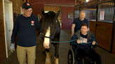 Wellspring of Life Farm honored for helping veterans with therapeutic care