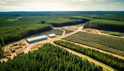 Weyerhaeuser Company (WY): Is This Land and Timber Stock Committed To Long-term Growth?