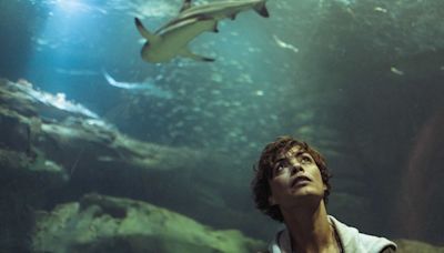 8 Brilliantly Bonkers Shark Attack Movies To Sink Your Teeth Into If You Loved Under Paris