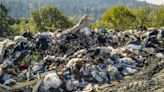 Garbage dumps may be ‘burping’ toxic ‘forever chemicals’: Study