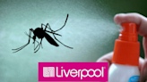 Liverpool: Ofrece en descuento estos repelentes de mosquitos