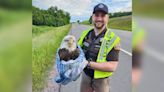 Good Samaritans, deputies help rescue bald eagle hit on interstate in Marquette County