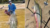 'Monster' 283-Pound Alligator Gar Fish Caught and Released in Texas Will Likely Set 2 Records