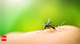 Can dengue fever during pregnancy cause low birth weights in newborns - Times of India