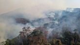 Arde Oaxaca: 12 incendios consumen bosques de los valles, sierras Norte y Sur, Mixteca, Costa…