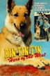 Rin-Tin-Tin: Hero of the West