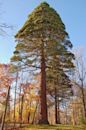 John J. Tyler Arboretum