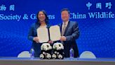 San Francisco mayor announces the city will receive pandas from China