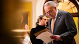 Schumer dodges political blowback on Israel