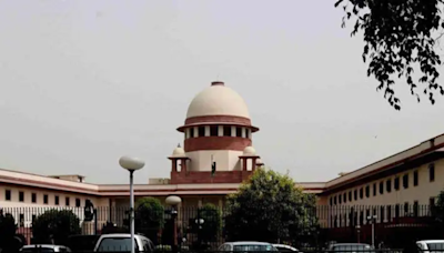 Courts should stay bail orders in rare cases: SC