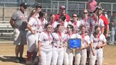 Williamsport softball captures the district title over Hazleton