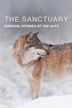 The Sanctuary: Survival Stories of The Alps