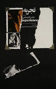 The Experience (film)