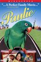 Paulie – Ein Plappermaul macht seinen Weg