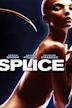 Splice (film)