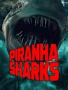 Piranha Sharks