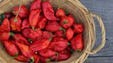 The Tip For Cooking With Ghost Peppers Every Beginner Should Know