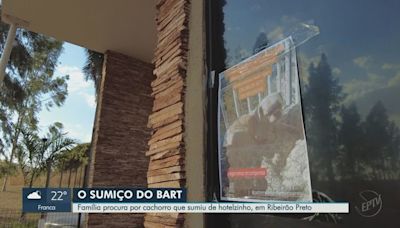 Família busca shih-tzu idoso que sumiu de hotel pet na zona Leste de Ribeirão Preto, SP