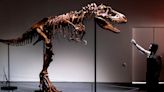 A 76 million-year-old dinosaur skeleton may sell for up to $8 million at auction. Paleontologists say high-profile sales make fossils less accessible to them.