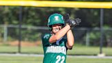 PIAA opening round matchups announced for Mid-Penn state-qualifying softball teams