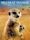 Meerkat Manor: The Story Begins