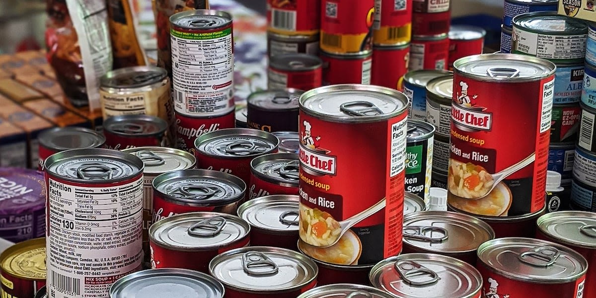 St. Vincent de Paul asking Arizonans to participate in Summer Pantry Challenge