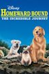 Homeward Bound: The Incredible Journey