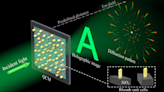 Quasicrystal metasurface projects holographic imag | Newswise