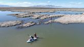 'I wasn't prepared': How it feels to study the Great Salt Lake as it dies