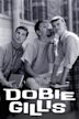 The Many Loves of Dobie Gillis