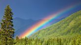 Russians report rainbows to security forces because they remind them of LGBT propaganda