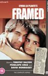 Framed (TV series)