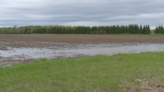 Spring rain helps Northeast Wisconsin crops stay on track, but brings standing water