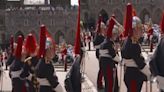 Watch: Guard escorted from Order of the Garter ceremony after sudden fall at Windsor Castle