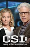 CSI: Crime Scene Investigation - Season 14