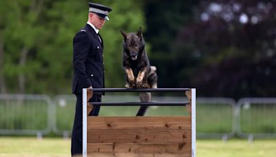 Police dog unit struck with mystery illness amid chronic flooding woes at base