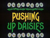 Pushing Up Daisies