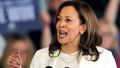 Time is ‘running short’ for Harris to present herself in front of the media: NOTUS reporter