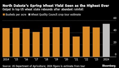 Wheat Supplies Set to Expand With Record North Dakota Yields