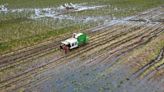Climate change leading to food price volatility, campaigners warn
