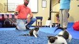 Four-legged friends: Williamson County's animal shelter pairs people and pets
