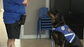Arkansas organization aims to help veterans struggling with PTSD with service dogs